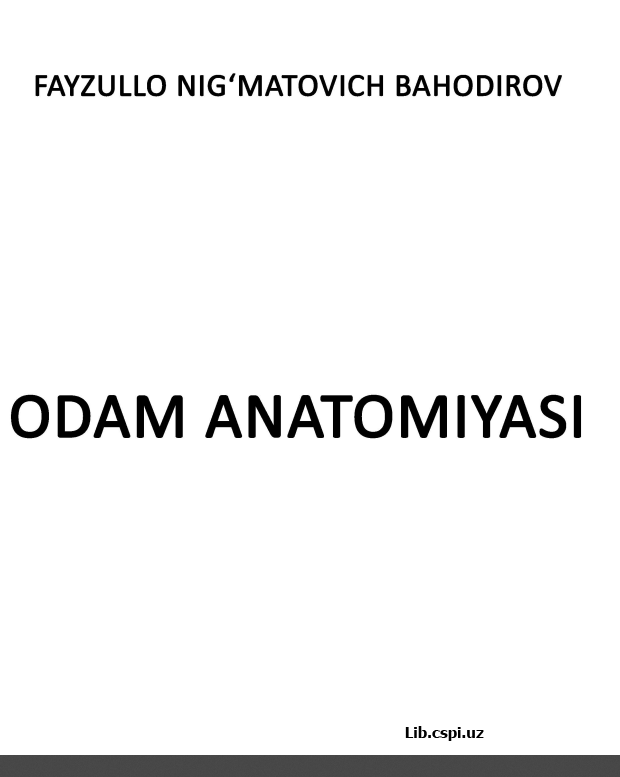ODAM ANATOMIYASI